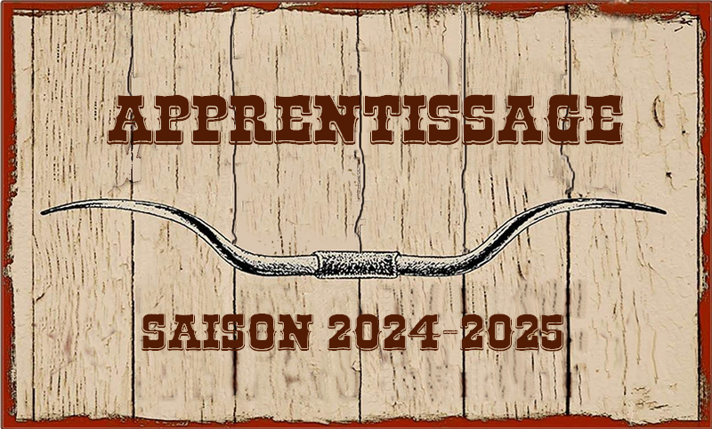 Apprentissage